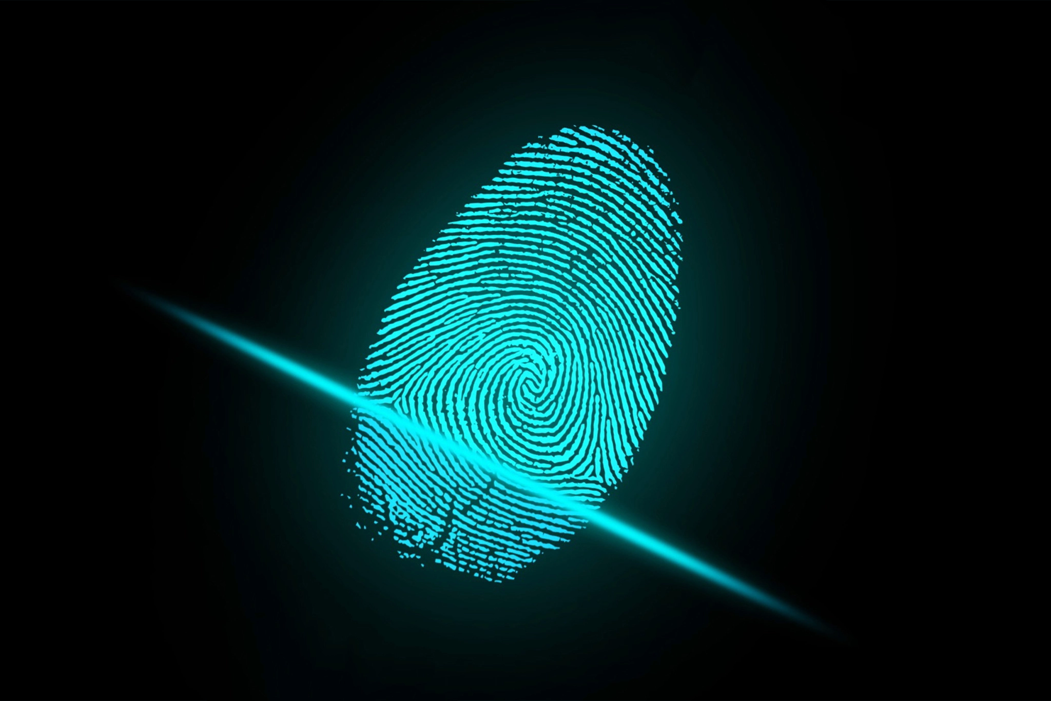 Introducing Biometric Authentication