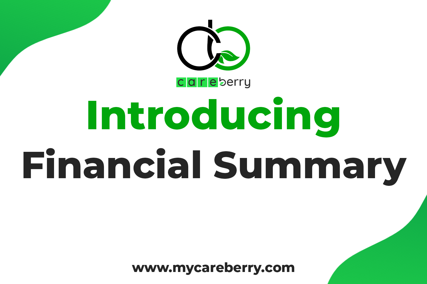 Introducing: Financial Summary